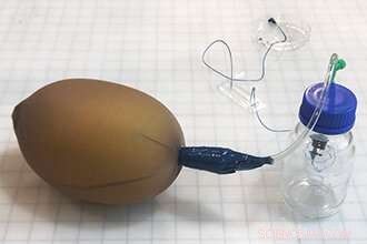 Affordable Balloon‑Stocking Pump Brings Lab‑Grade Testing to the Field