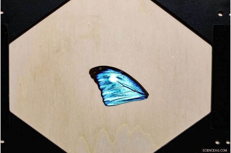 Advanced Digital Replication of Material Properties for Realistic Rendering