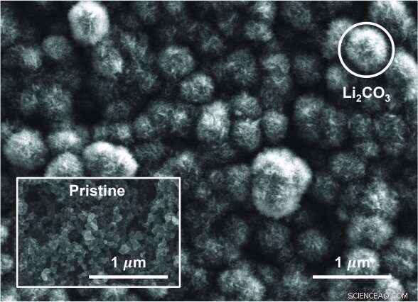 Innovative Battery System Captures CO₂ from Power Plant Exhaust for Safe Disposal