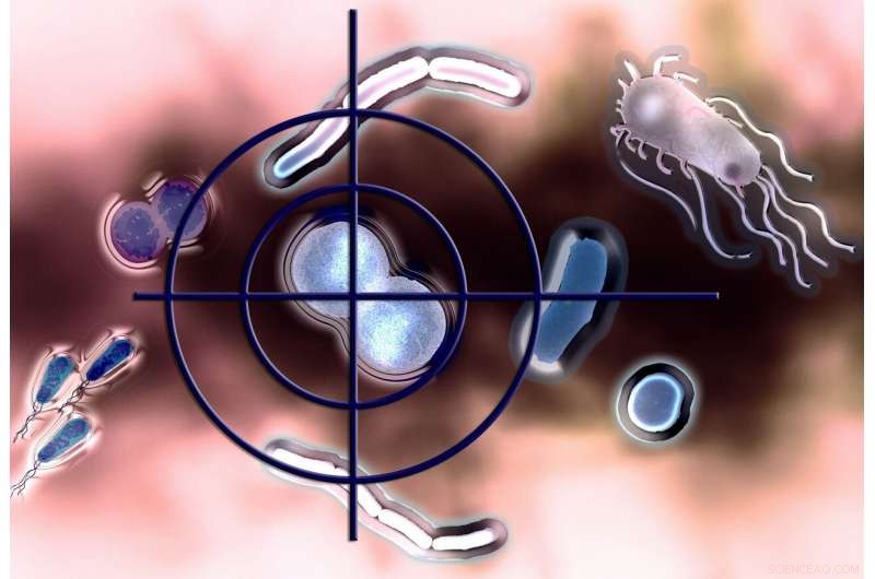 Scientists Unveil Bio‑Inspired Selective Antibiotics to Target Resistant Bacteria