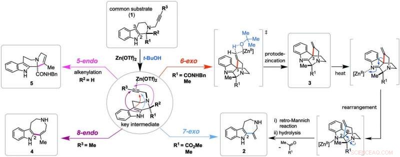 Next‑Gen Medications: Harnessing Chemistry & Computation for Faster, Safer Drug Discovery