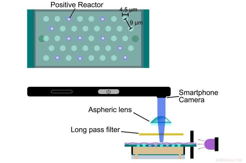 Revolutionary Portable Device Enables Smartphones to Detect and Count Biological Viruses
