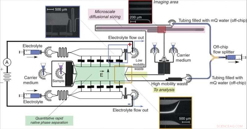 Advanced Microfluidics: 2‑D Fingerprints for Heterogeneous Protein Analysis in Solution