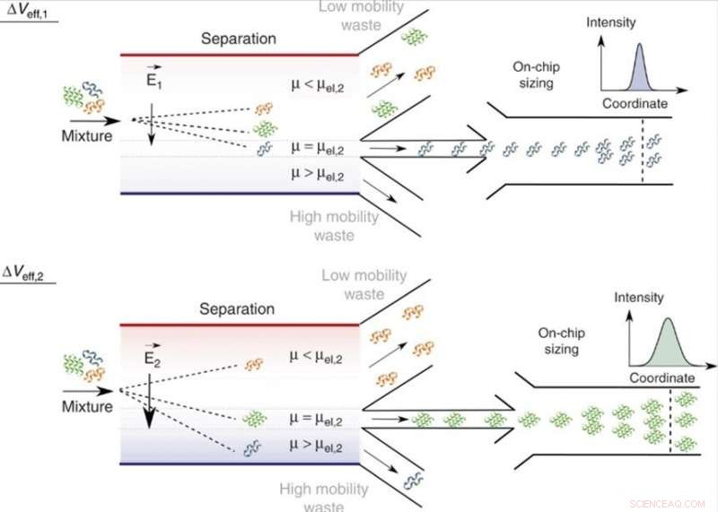 Advanced Microfluidics: 2‑D Fingerprints for Heterogeneous Protein Analysis in Solution