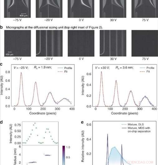Advanced Microfluidics: 2‑D Fingerprints for Heterogeneous Protein Analysis in Solution