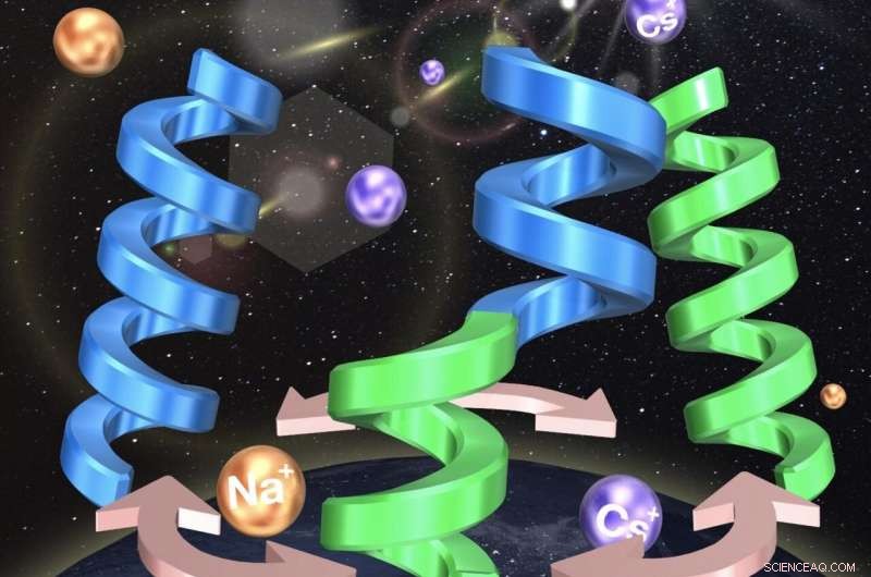 Revolutionary Multi-State Switchable Stationary Phase Enhances Chiral Separation