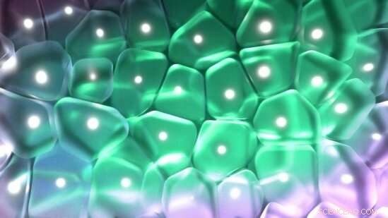 Scientists Unveil Novel Phase in Block Copolymers, Expanding Material Horizons