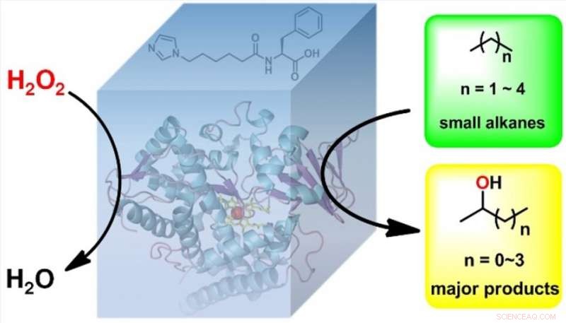 Breakthrough Enzyme Design Boosts Fuel Refining Efficiency