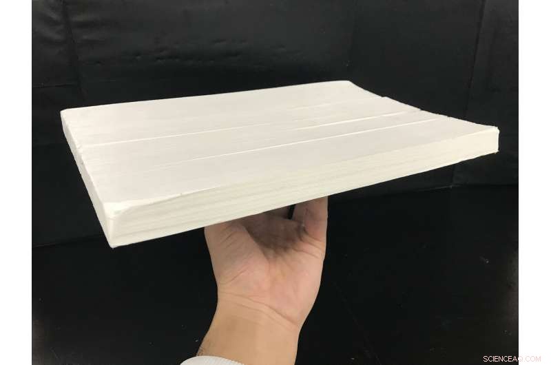 Princeton‑Developed Wood Membrane Offers Sustainable Water Filtration Solution