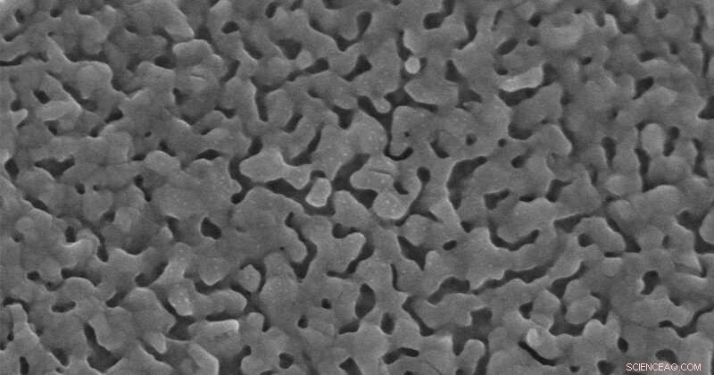 Innovative Catalytic Process Transforms CO₂ into Methane with Unprecedented Efficiency
