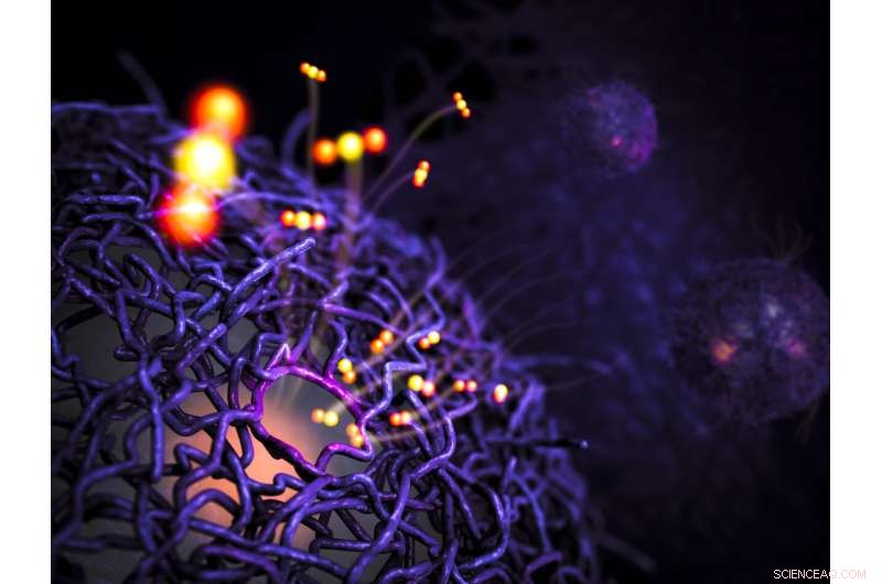 Scientists Develop Enzyme‑Inspired Polymer‑Palladium Catalysts for Efficient CO₂ Production