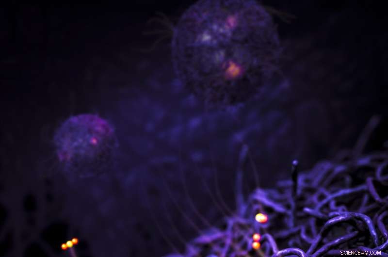 Scientists Develop Enzyme‑Inspired Polymer‑Palladium Catalysts for Efficient CO₂ Production