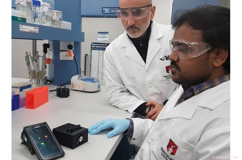 Smartphone‑Assisted Quantum Dot Detection of Killer Bacteria