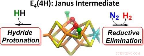 Revolutionizing Fertilizer Production: Fuel‑Efficient Ammonia Solutions
