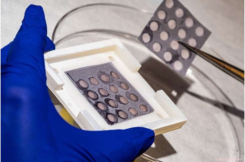 Innovative Paper-Based Filters Drive Breakthroughs in Heart Valve Research