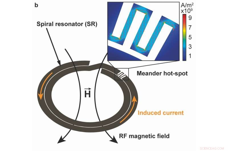 Tiny Biodegradable Microcircuits for Targeted Painkiller Release