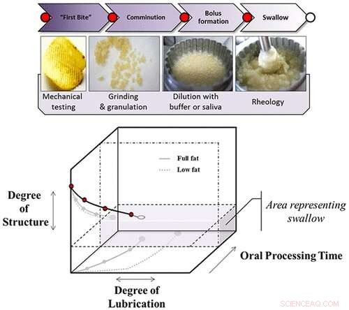 Revolutionizing Low‑Fat Potato Chips: A New Texture‑Enhancing Technique
