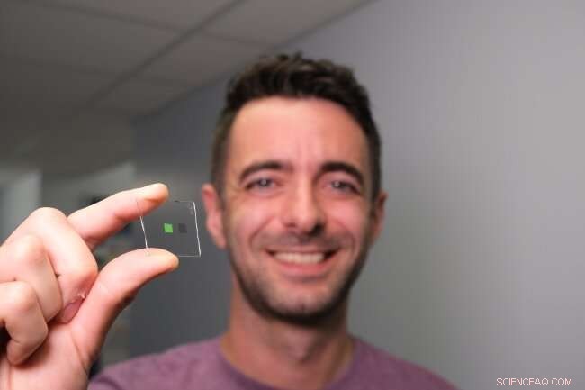 New Artificial Tongue Differentiates Whiskies with Unprecedented Precision