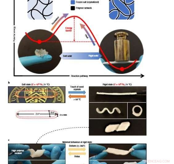 Reversible Solid-State Switching in a Novel Hybrid Material