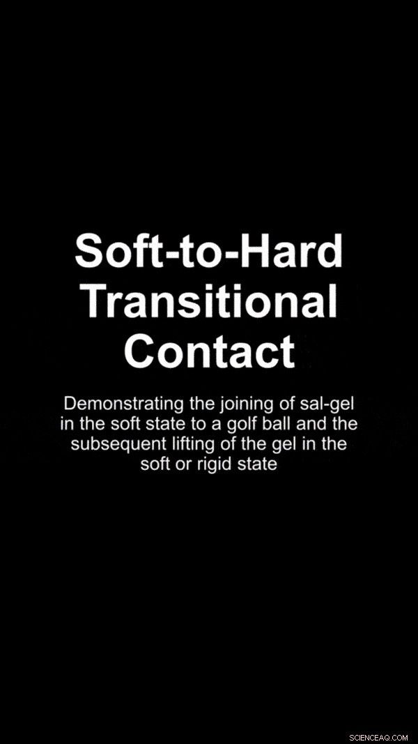 Reversible Solid-State Switching in a Novel Hybrid Material