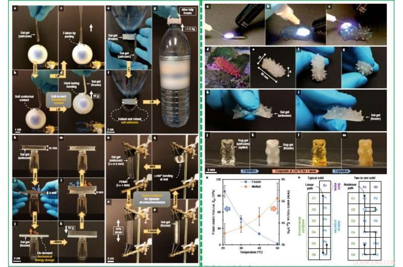 Reversible Solid-State Switching in a Novel Hybrid Material