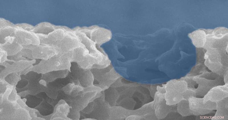 Groundbreaking Study Reveals Breakthroughs in Next‑Gen Water Purification