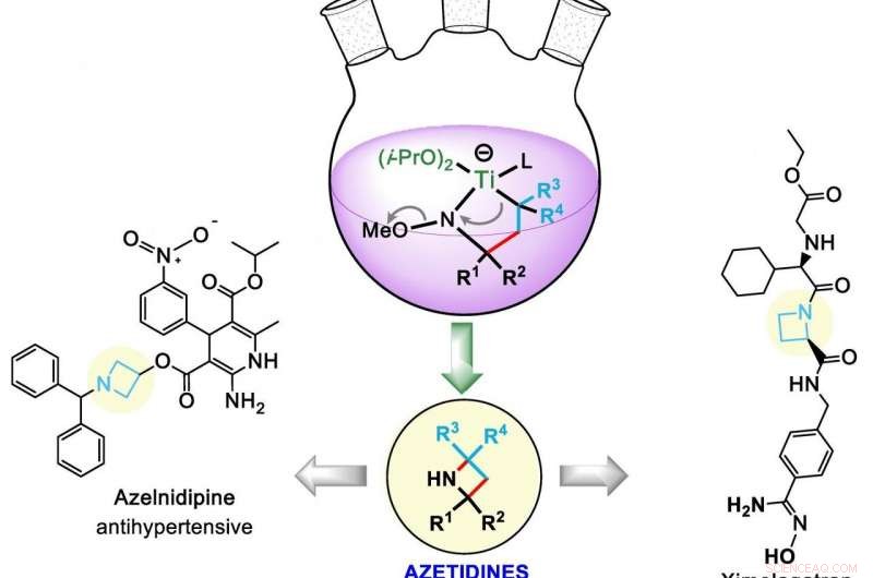 Rice University Chemists Pioneer Synthetic Pathway to Azetidines for Drug Design
