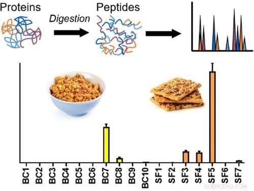 New Rye-Gluten Detection Method Enhances Food Safety