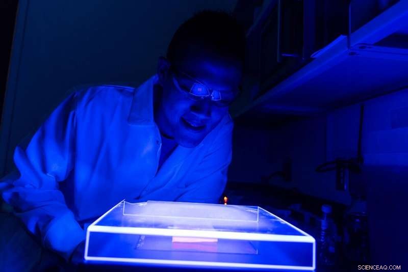 USF Scientists Engineer Microbes to Convert Greenhouse Gases into Valuable Resources