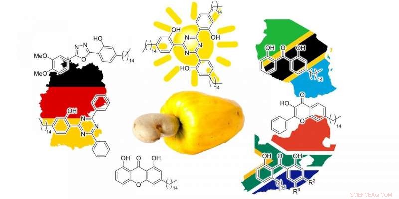 Green Chemists Discover How to Convert Cashew Nut Shells into Sustainable Sunscreen