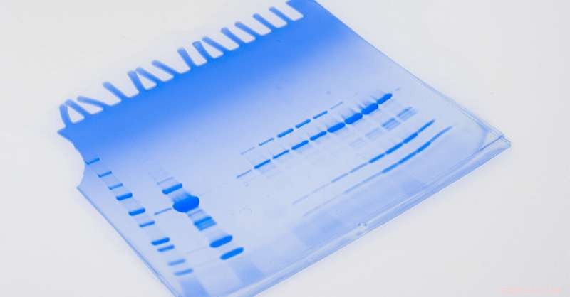 Cutting-Edge Proteomics Technique Illuminates Ubiquitin Signaling