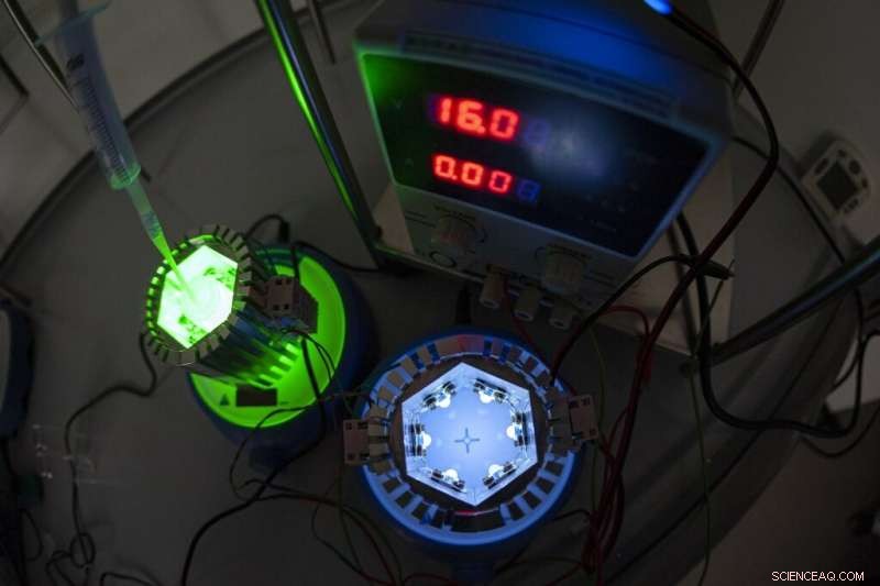 Sustainable Bottles from Lignocellulose & Apple-Derived Perfumes