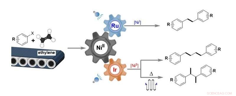 Nickel‑Catalyzed Ethylene Transformations: Advanced Reaction Strategies