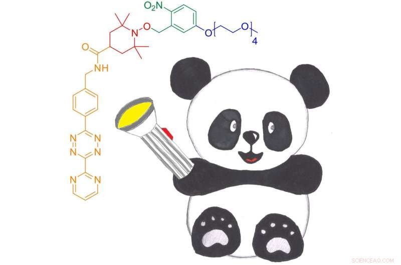 Revolutionary Protein Spin Labeling with Photoactivatable Nitroxide