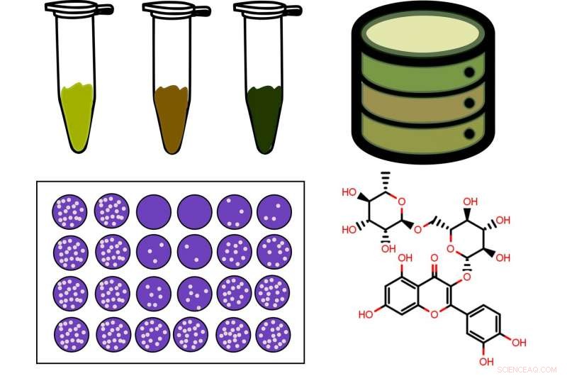 Brown Coal-Derived Humic Acid Shows Promise in Fighting Viruses