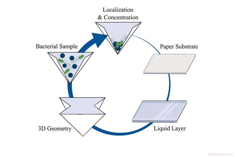 Paper-Based Portable Lab Enables Field Testing of Biological Threats