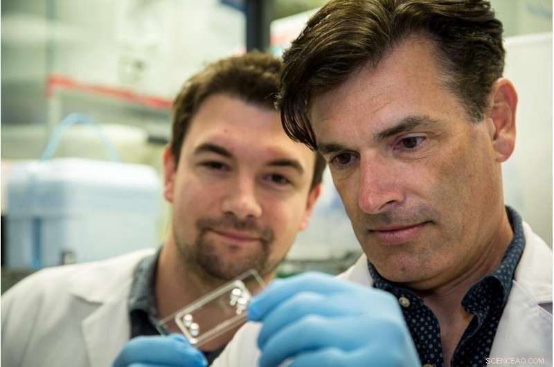 Miniature Lab‑on‑a‑Chip Accelerates Discovery of Safer Anti‑Clotting Drugs