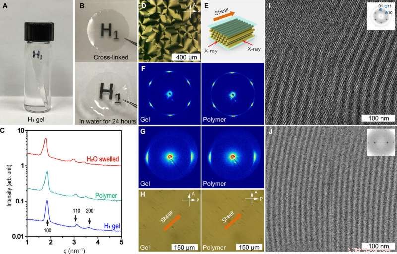 Precision Nanofiltration via Self-Assembled Membranes with Continuous Water Transport