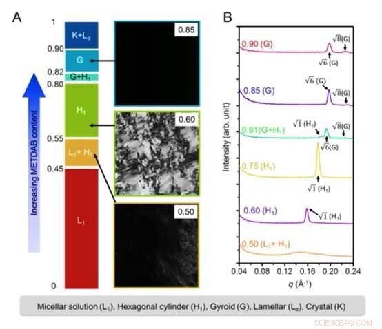 Precision Nanofiltration via Self-Assembled Membranes with Continuous Water Transport