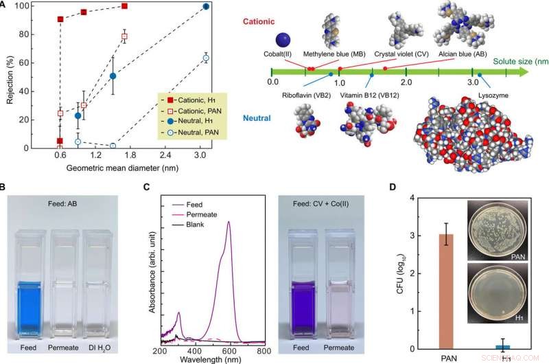 Precision Nanofiltration via Self-Assembled Membranes with Continuous Water Transport