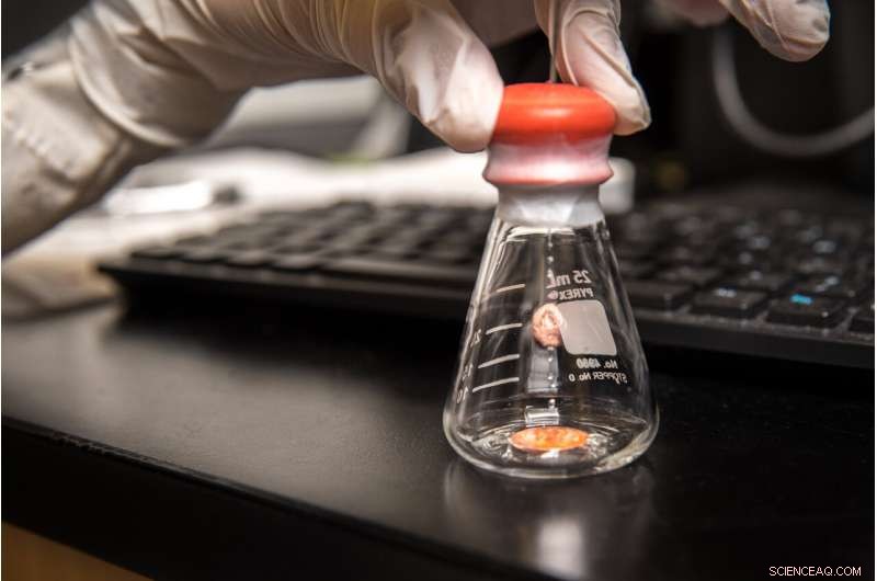 UC San Diego Research Pinpoints Key Failure Cause in Lithium Metal Batteries