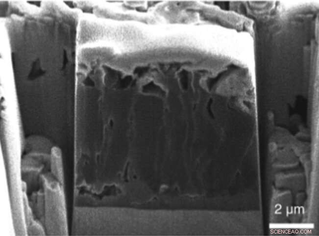 UC San Diego Research Pinpoints Key Failure Cause in Lithium Metal Batteries