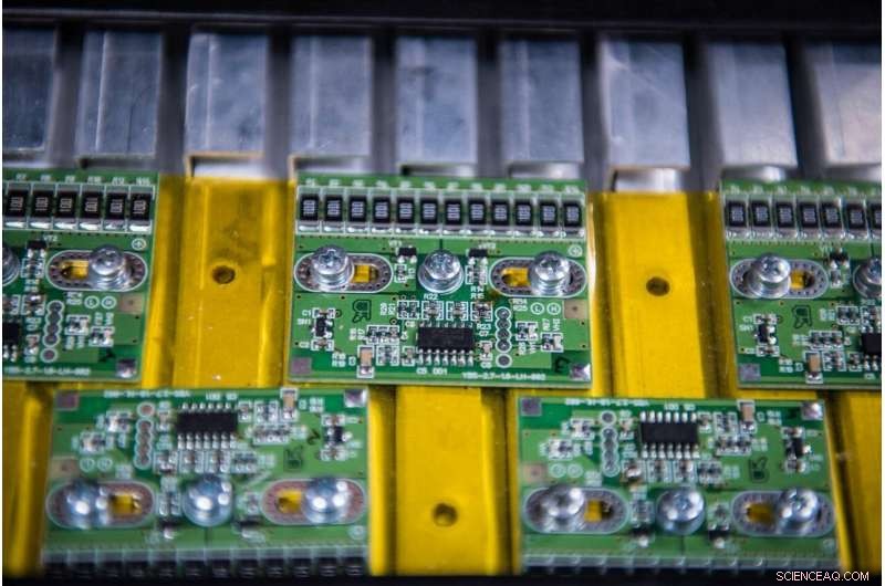 Invasive Hogweed: A Green Solution for Next-Generation Batteries