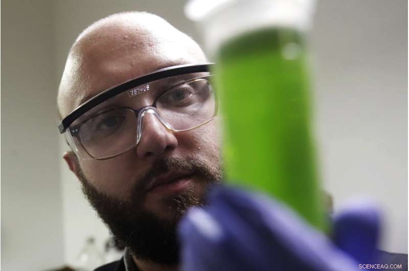 Detecting THC in Chocolate: How to Ensure Reliable Testing Results