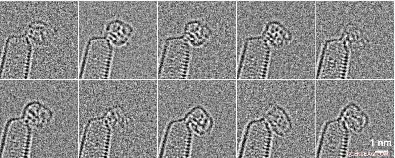 Scientists Capture First Atomic-Resolution Videos of Chemical Synthesis