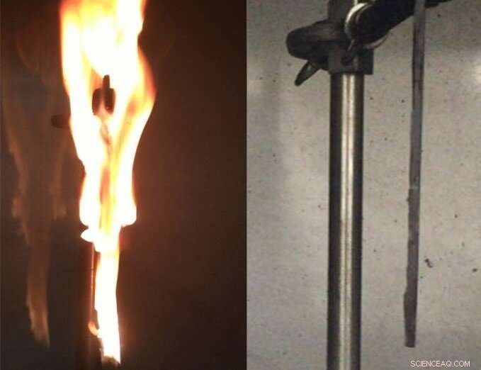 Plant‑Derived Flame Retardants: A Safer Alternative for Everyday Products