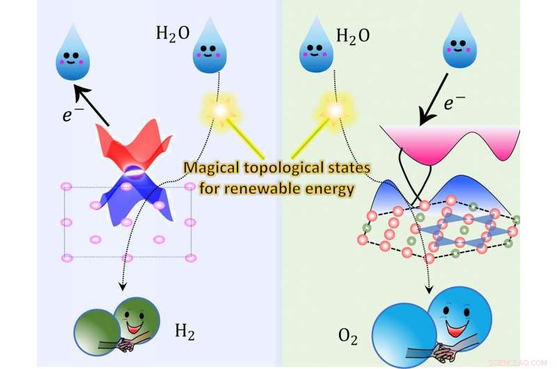 Harnessing Topological Surface States to Accelerate Hydrogen Production