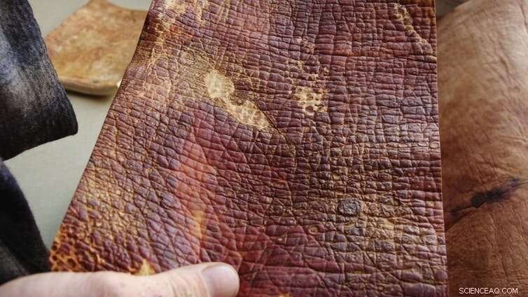 5 Innovative Natural Solutions Driving Sustainability in Fashion