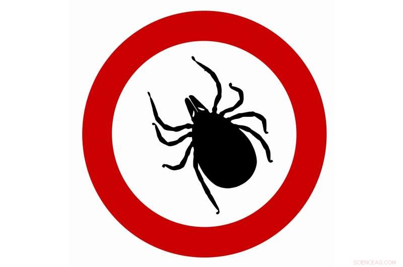 Innovative Approach to Tick Control: Dehydrating Tick Saliva to Prevent Disease Transmission