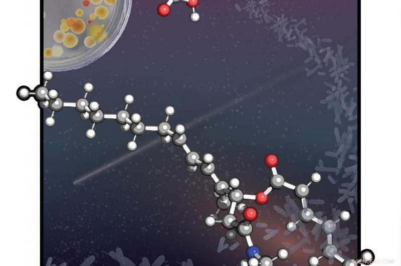 Innovative Molecular Trojan Horse: Rapid Macrocycle Assembly in Natural Product Synthesis